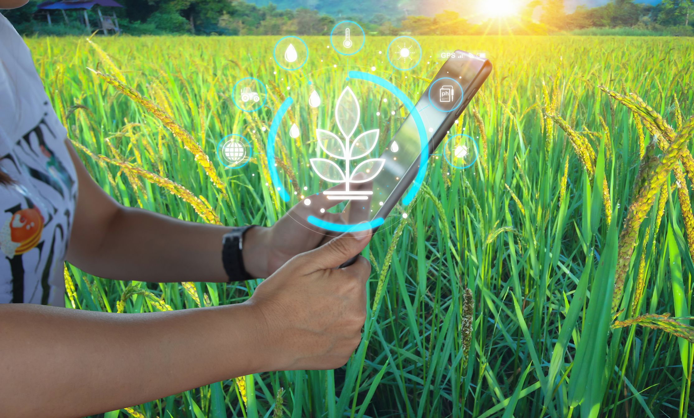 WATCH CLIMATE SMART FOOD