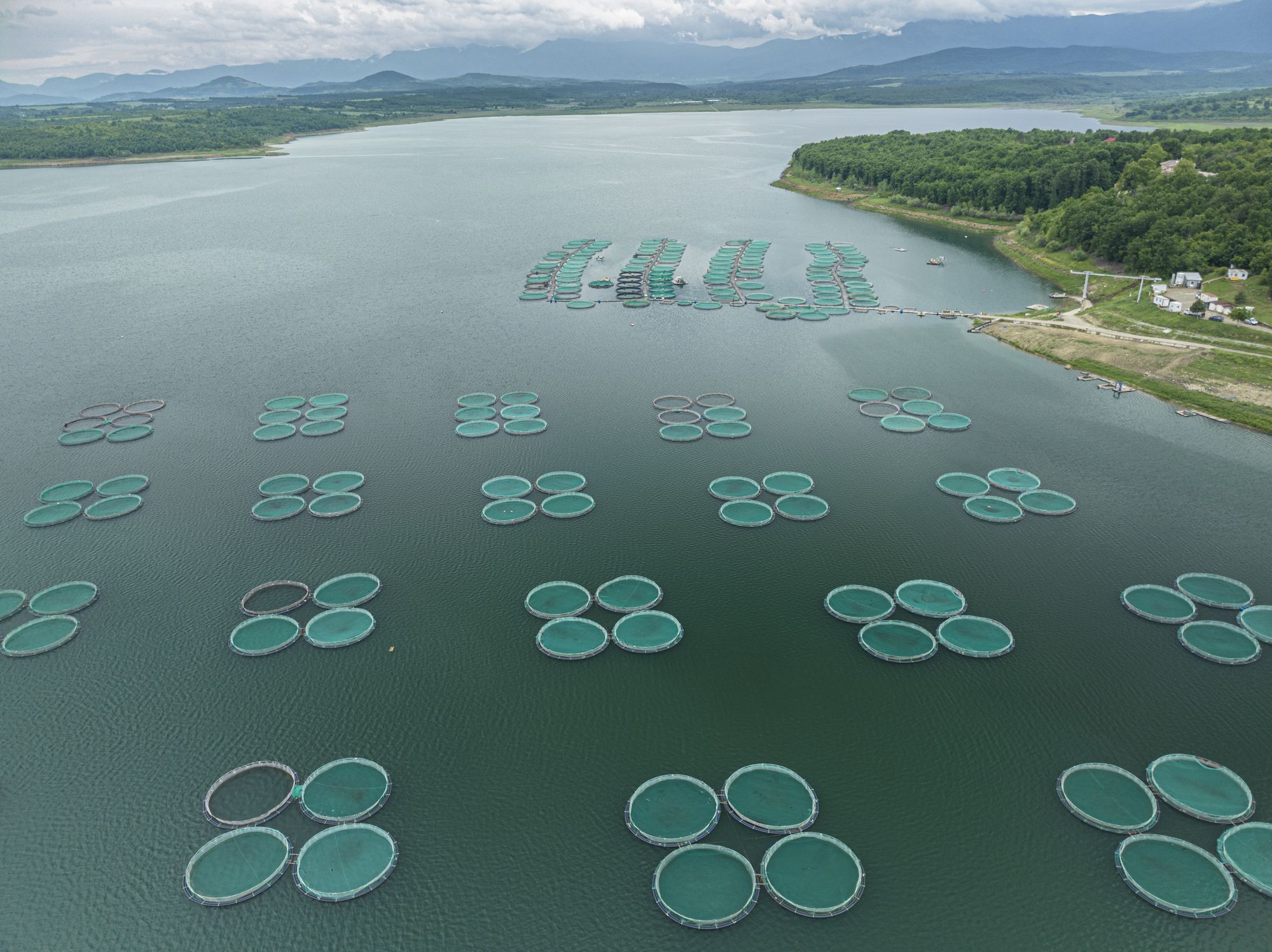 WATCH CLIMATE SMART FOOD